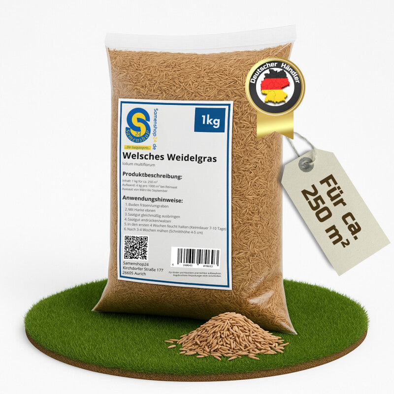 Samenshop24® Welsches Weidelgras Lolium Multiflorum 1kg