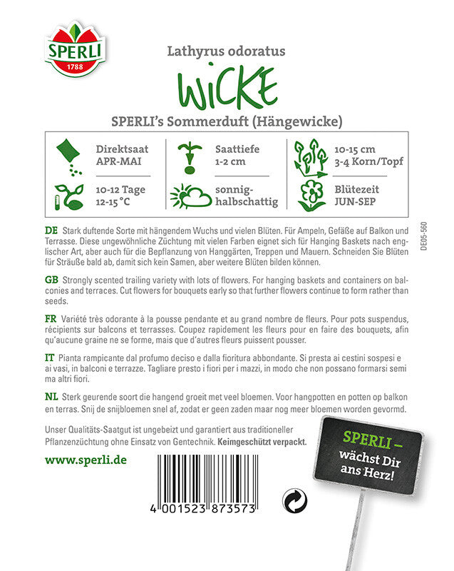 Wicke Sperling's Sommerduft, Hängende Wicke, Eignet Sich Als Gestaltungspflanze In Bauerngärten
