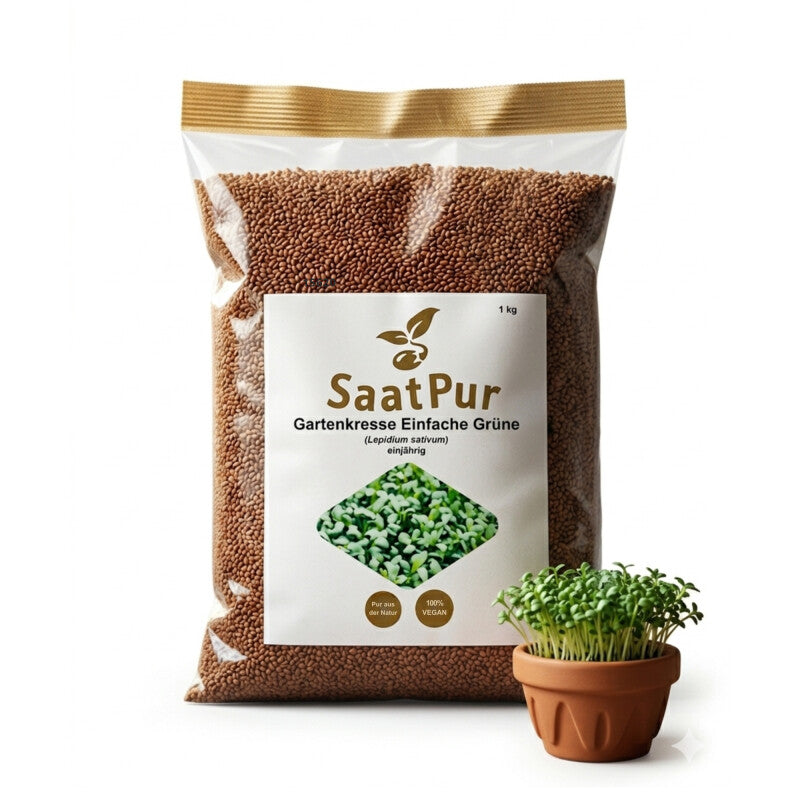  Gartenkresse Einfache Grüne Sprint 1kg