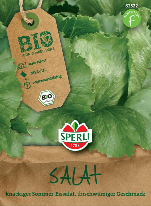  BIO Eissalat, Eignet Sich Für Den Sommeranbau, Schossfest Und Widerstandsfähigkeit, Lange Erntbar