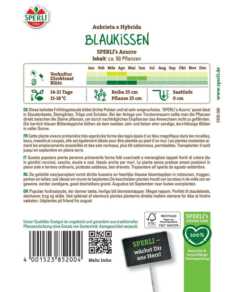  Blaukissen SPERLI's Azurro, Anspruchslose Polsterstaude Für Sonnige Standorte, Trockenresistent