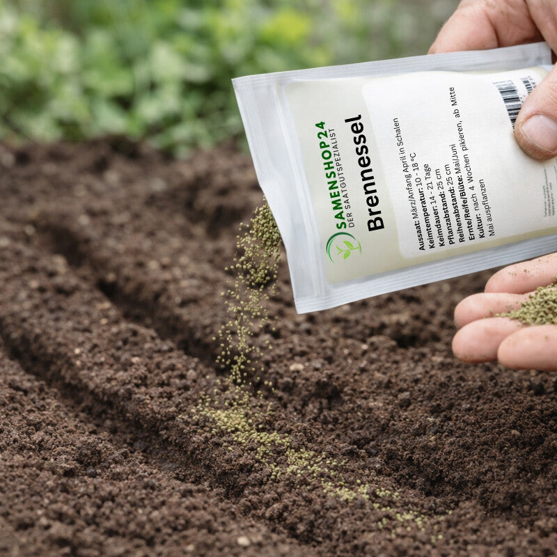  Brennessel, Urtica Dioica, Inhalt: 10g Für Ca. 10m²