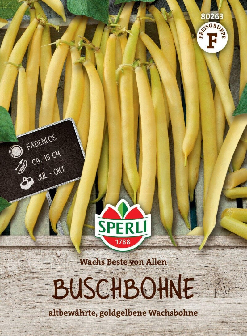  Buschbohne Beste Von Allen, Altbewährte Goldgelbe Wachsbohne, Fadenlos