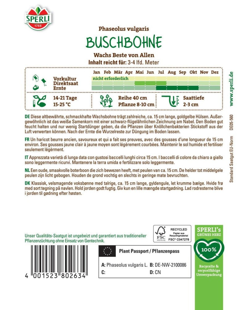  Buschbohne Beste Von Allen, Altbewährte Goldgelbe Wachsbohne, Fadenlos