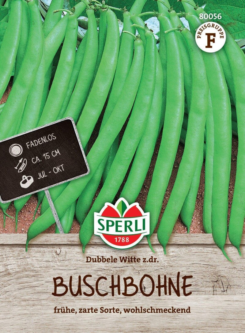  Buschbohne Dubbele Witte Z.dr., Zart Und Wohlschmeckend, Fadenlos