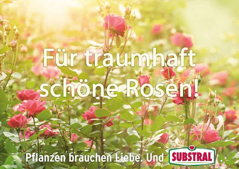  Celaflor Rosen-Pilzfrei Saprol, Gegen Pilzkrankheiten An Rosen, Wie Echten Mehltau, Sternrußtau Und Rost, 100 Ml