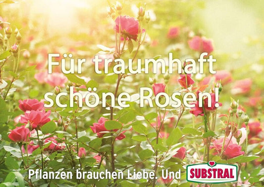  Celaflor Rosen-Pilzfrei Saprol, Gegen Pilzkrankheiten An Rosen, Wie Echten Mehltau, Sternrußtau Und Rost, 100 Ml
