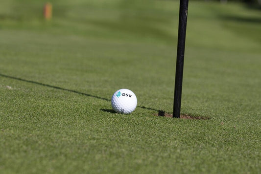  DSV-Rasensamen 4.1.7 Golfrasen Grün Nachsaat 10kg