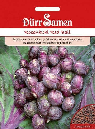  Rosenkohl Red Ball