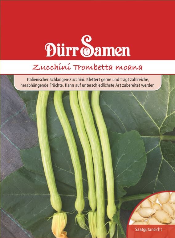  Dürr Samen Zucchini Trombetta Moana (Zucchinisamen)
