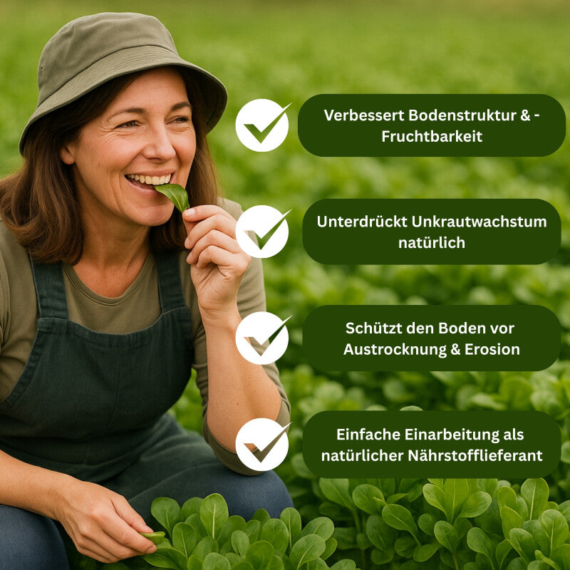  GardenTaurus® Gründünger Feldsalat, 25 - 400m², Viel Blattmasse, Essbar