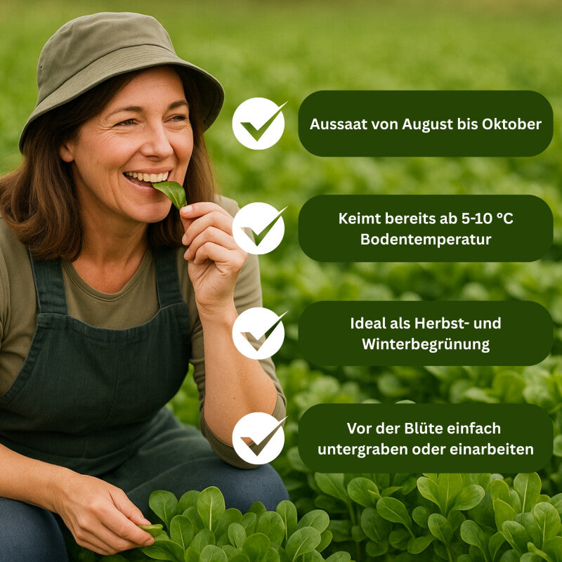  GardenTaurus® Gründünger Feldsalat, 25 - 400m², Viel Blattmasse, Essbar