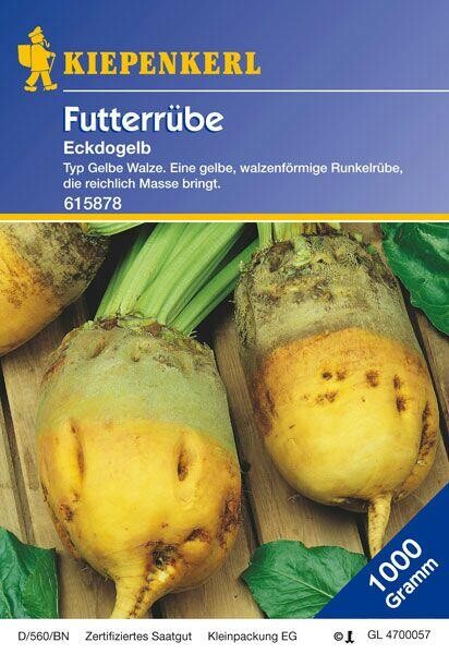  Futterrüben Eckdogelb 1kg