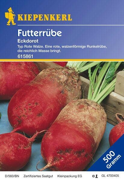  Futterrüben Eckdorot | 500 Gr Für Ca. 250 M² | Rote Walzenförmige Runkelrübe Mit Reichlich Masse
