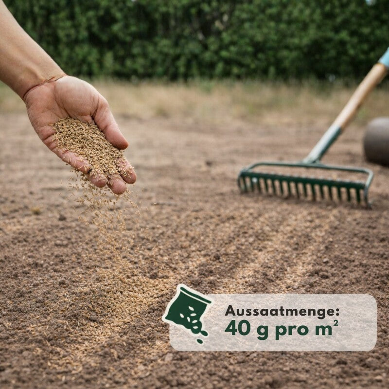  GardenTaurus® Rasenmischung `Berliner Tiergarten´Inhalt: 1kg Für 25 M²
