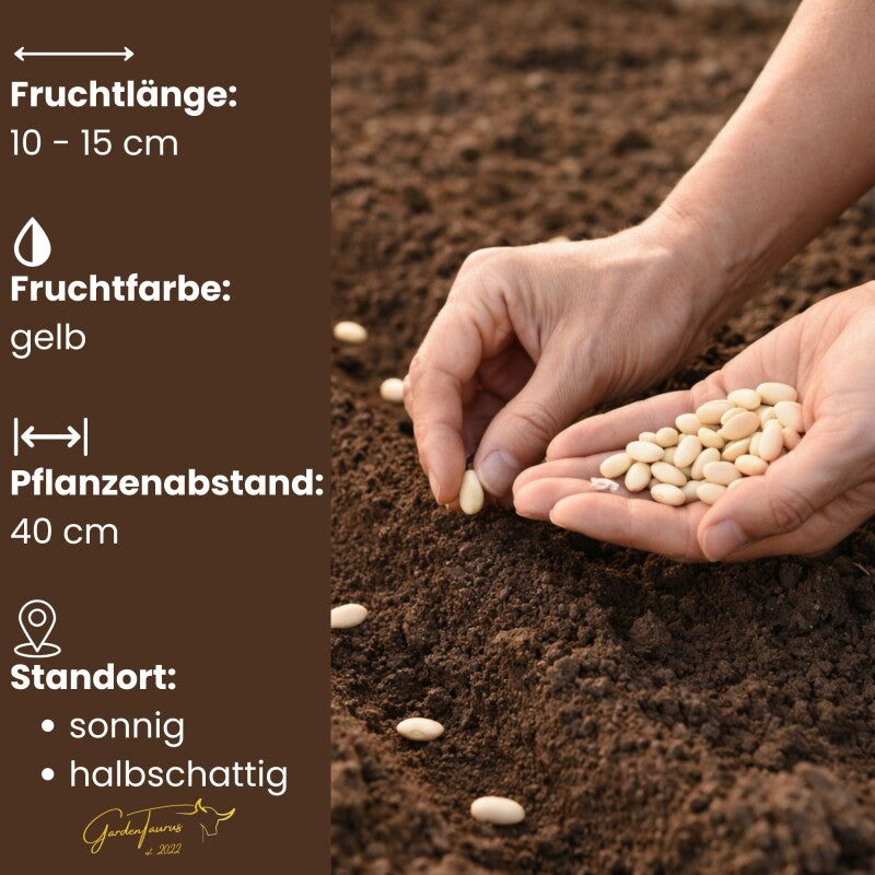  GardenTaurus® Buschbohne Gelb Dior (Wachs), Fadenlose, Resistente Sorte Inhalt 50-1000g