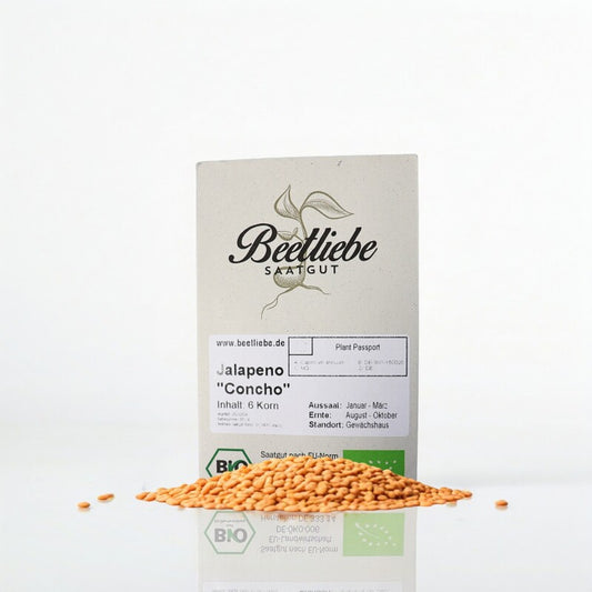  Jalapeno Samen Concho Samenfest & BIO Sehr Scharf