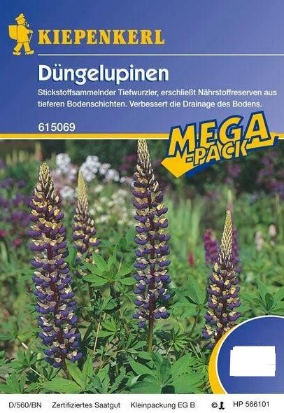  Dünge-Lupine Kiepenkerl Gründünger 1kg - 5kg Für 50 - 250 M²