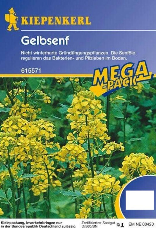  Gelbsenf Gründünger Einzelsaat 80g - 2 Kg Für 20 - 400 M² Fläche Nachhaltige Bodenverbesserung