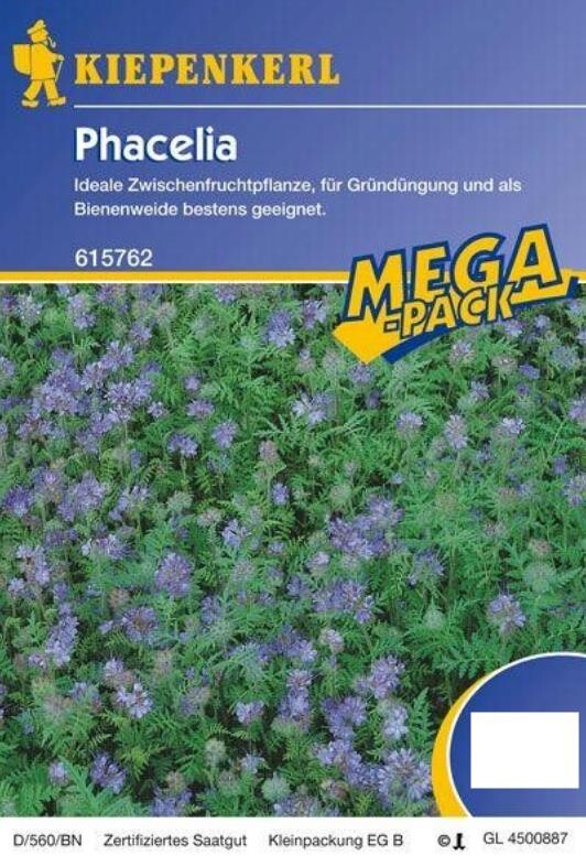  Phacelia Bienenweide Gründünger 50g - 2kg, Für 15 - 500 M², Insektenmagnet