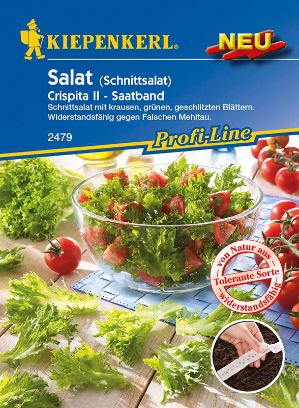  Salat Crispita II (Schnittsalat) Saatband Resistent