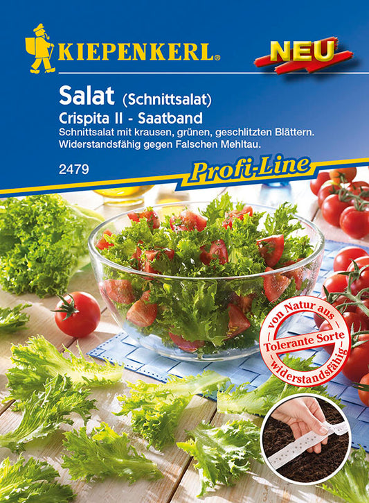  Salat Crispita II (Schnittsalat) Saatband Resistent