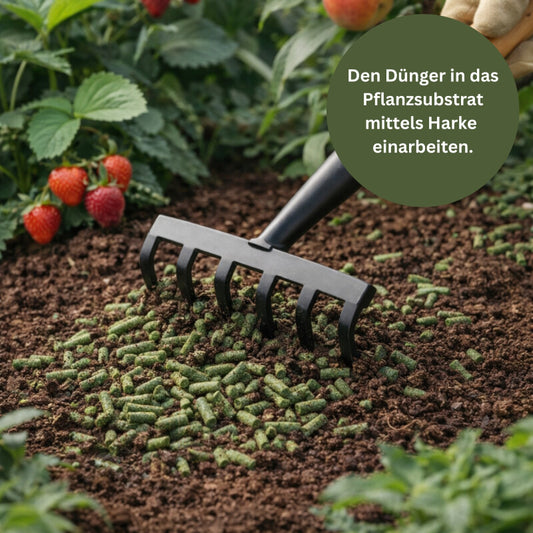  GardenTaurus® Veganer Kleedünger |für Optimales Pflanzenwachstum