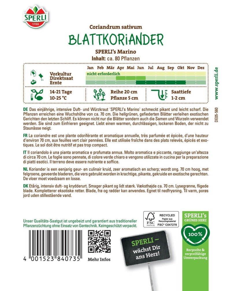  Koriander SPERLI's Marino (Blattkoriander), Intensives Würzkraut, Einjährig, Pikant