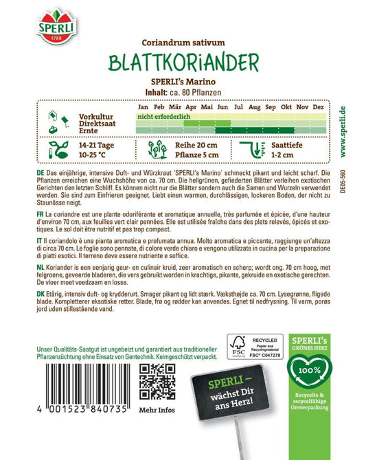  Koriander SPERLI's Marino (Blattkoriander), Intensives Würzkraut, Einjährig, Pikant