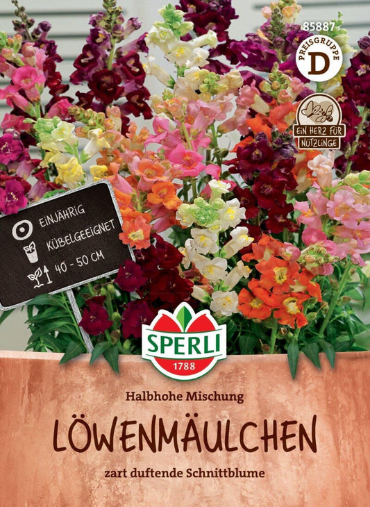 Löwenmäulchen Halbhohe Mischung, Nektarspender, Kübelgeeignete Schnittblume, Sperli