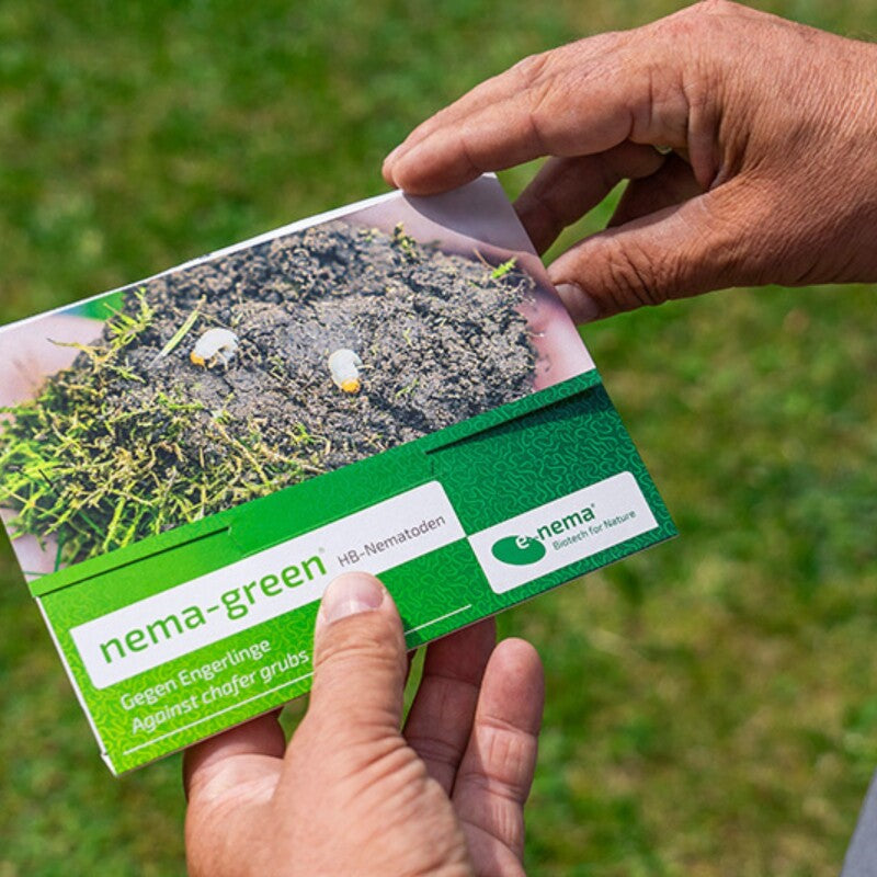  Nema-Green HB Nematoden Zur Bekämpfung Des Gartenlaubkäfers
