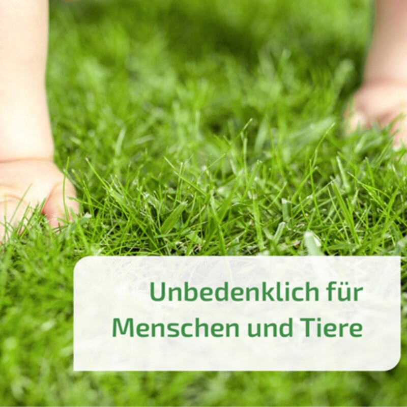  Nema-Green HB Nematoden Zur Bekämpfung Des Gartenlaubkäfers