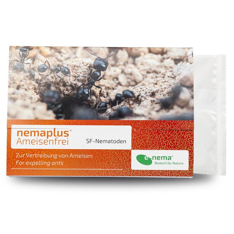  NemaPlus Ameisenfrei Biologische Ameisenvertreibung Durch SF Nematoden