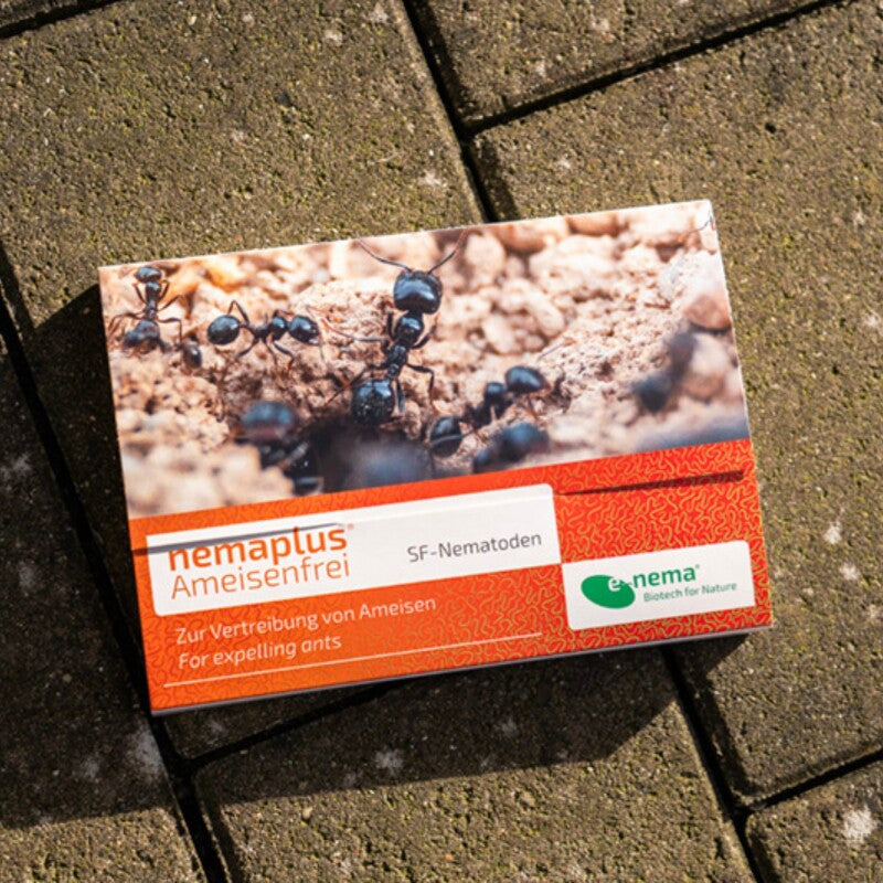  NemaPlus Ameisenfrei Biologische Ameisenvertreibung Durch SF Nematoden