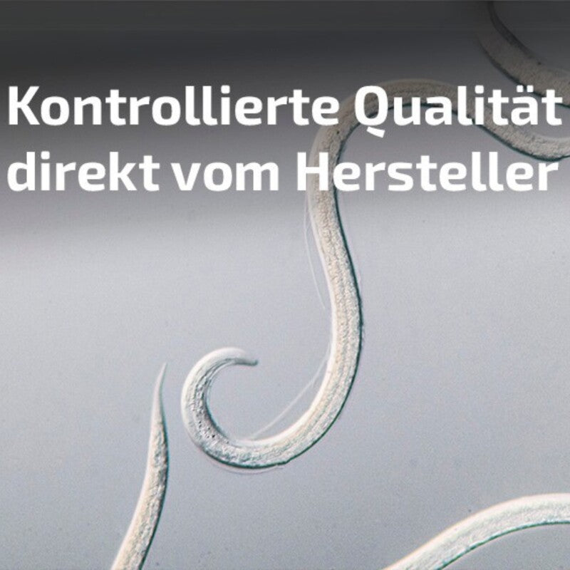  NemaPlus Ameisenfrei Biologische Ameisenvertreibung Durch SF Nematoden