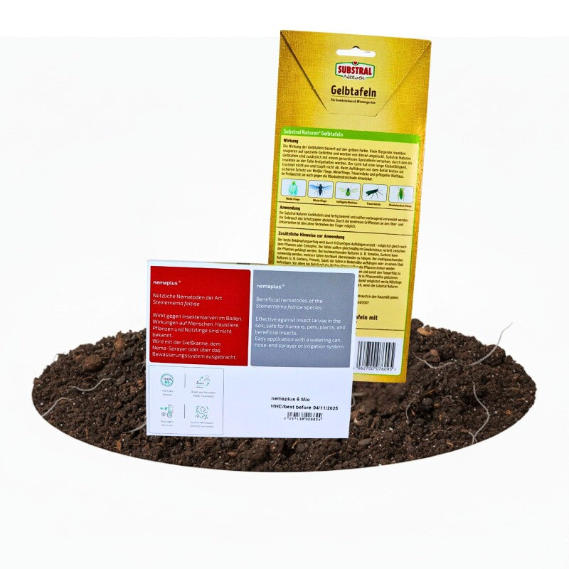 NemaPlus SF Nematoden + Naturen BIO Gelbtafeln (Inhalt: 7 Stück), Kombi-Packung Zur Trauermückenbekämpfung