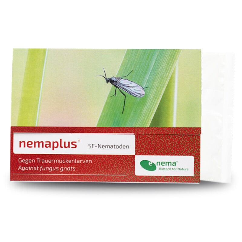  NemaPlus SF Nematoden Zur Bekämpfung Von Trauermücken