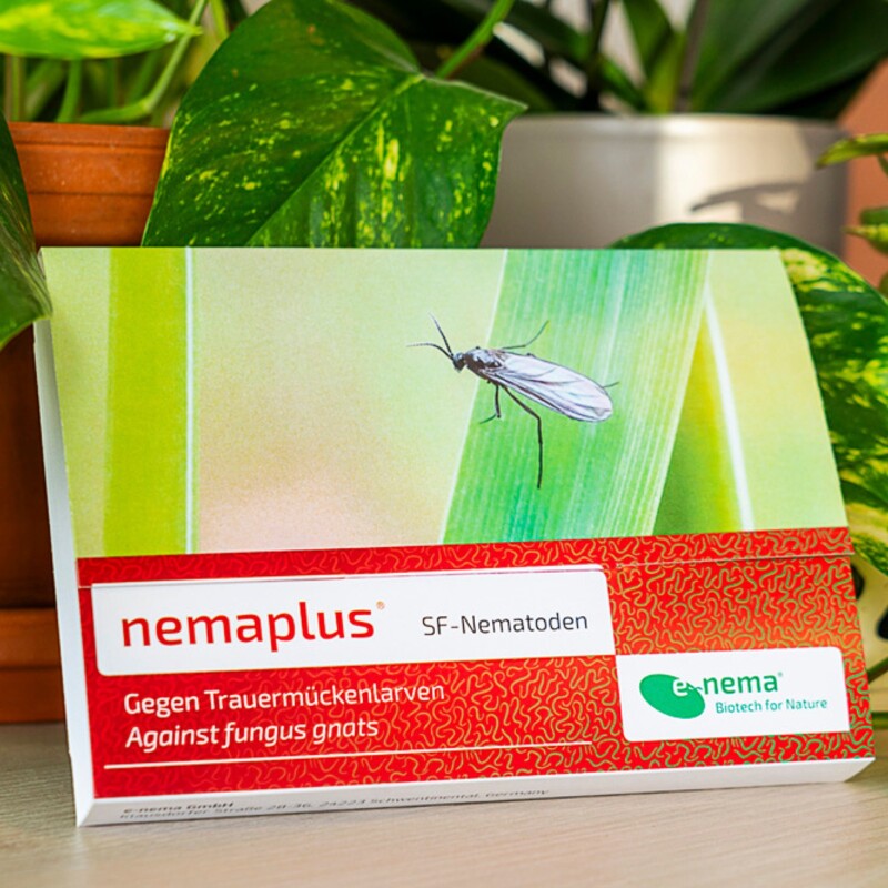  NemaPlus SF Nematoden Zur Bekämpfung Von Trauermücken