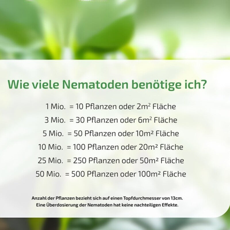  NemaPlus SF Nematoden Zur Bekämpfung Von Trauermücken