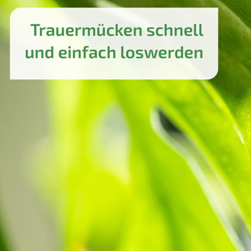  NemaPlus SF Nematoden Zur Bekämpfung Von Trauermücken