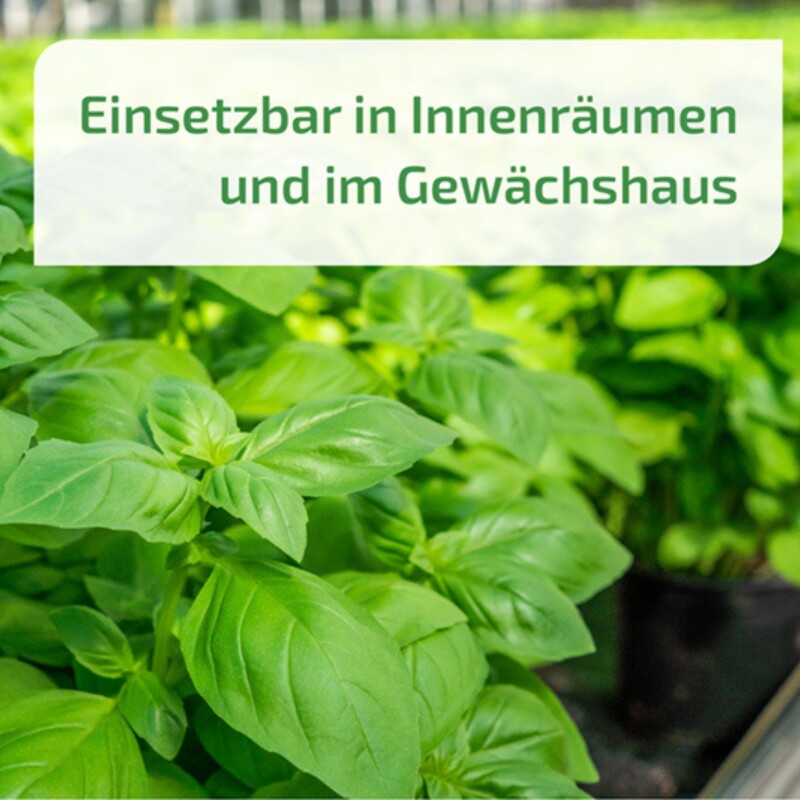  NemaPlus SF Nematoden Zur Bekämpfung Von Trauermücken