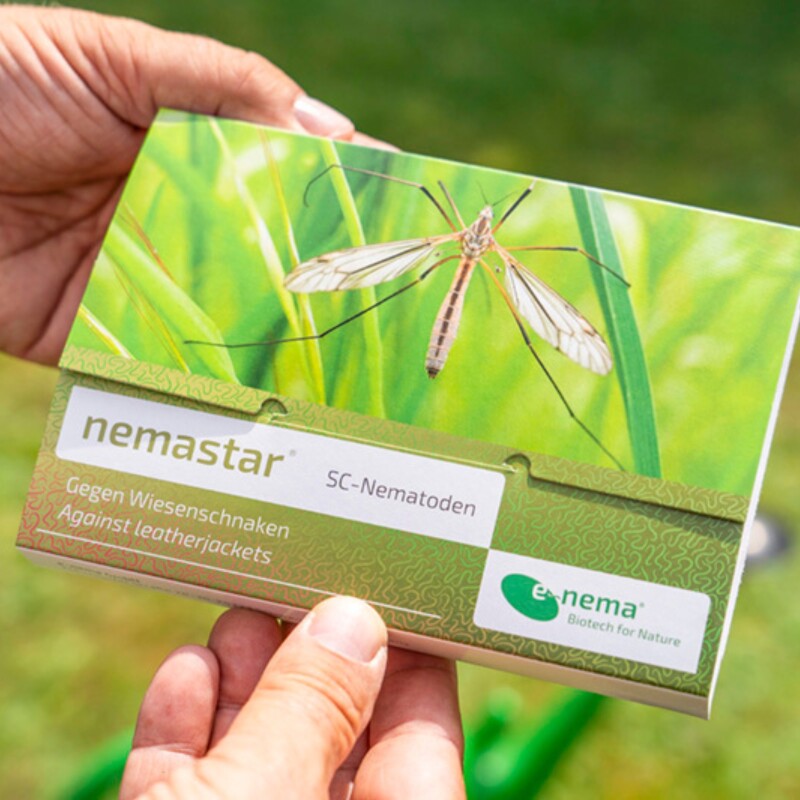  NemaStar SC Nematoden Zur Bekämpfung Von Maulwurfsgrillen Wiesenschnaken Und Erdraupen