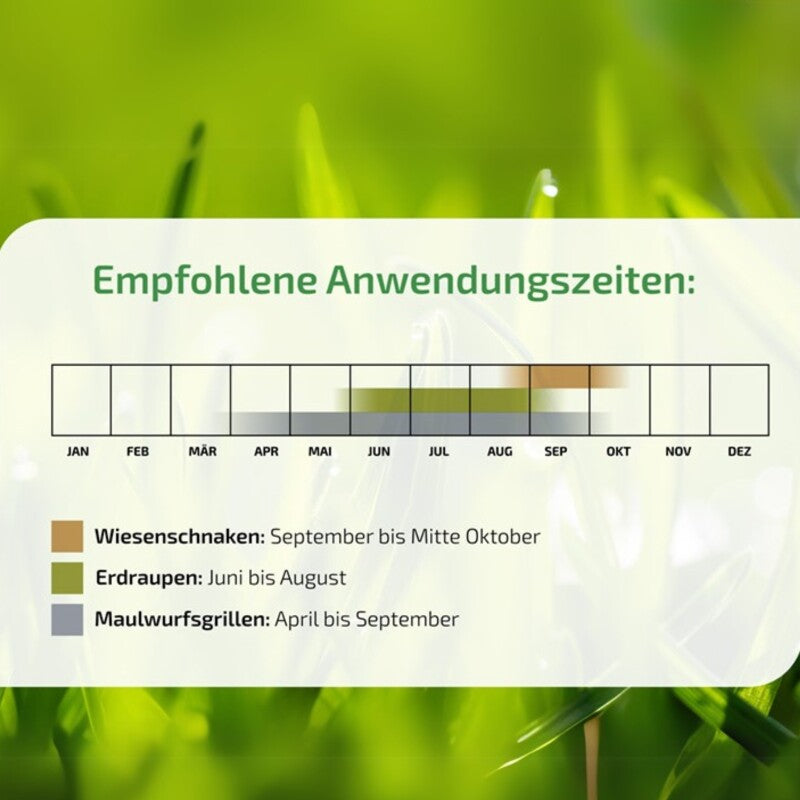  NemaStar SC Nematoden Zur Bekämpfung Von Maulwurfsgrillen Wiesenschnaken Und Erdraupen