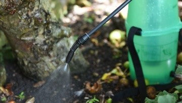  Nemasys® BASF SK Nematoden 250 Mio. (500m²) Gegen Dickmaulrüssler (Steinernema Kraussei) - Wirkt Bereits Ab 5°C