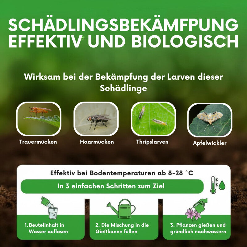  NemaTaurus® SF Nematoden | 1 - 1000 Mio Für 2 - 2000 M² | Gegen Trauermücken, Haarücken Und Trhipslarven In Der Erde