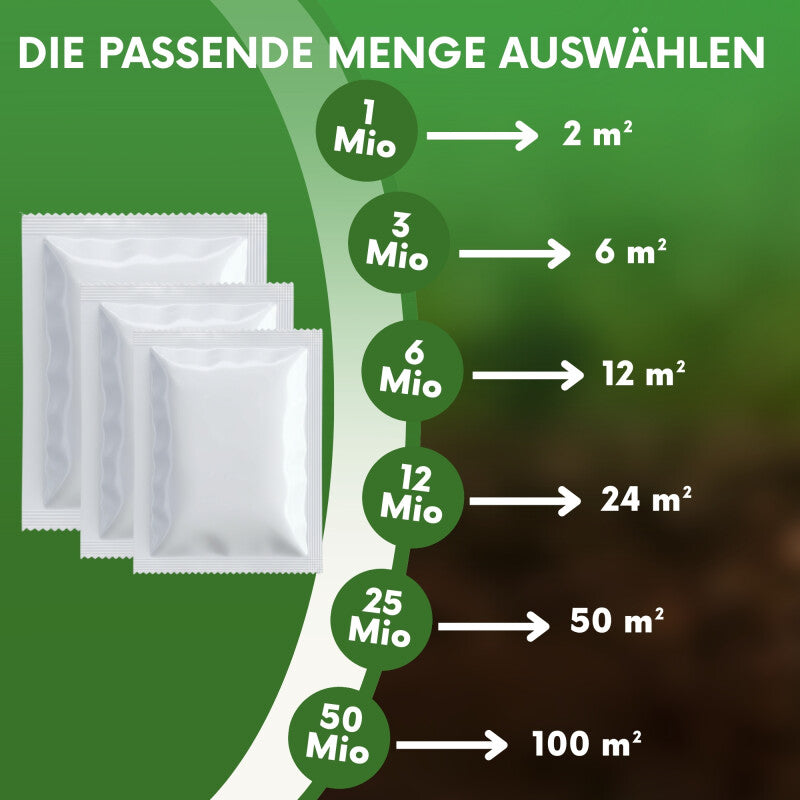 NemaTaurus® SF Nematoden | 1 - 1000 Mio Für 2 - 2000 M² | Gegen Trauermücken, Haarücken Und Trhipslarven In Der Erde
