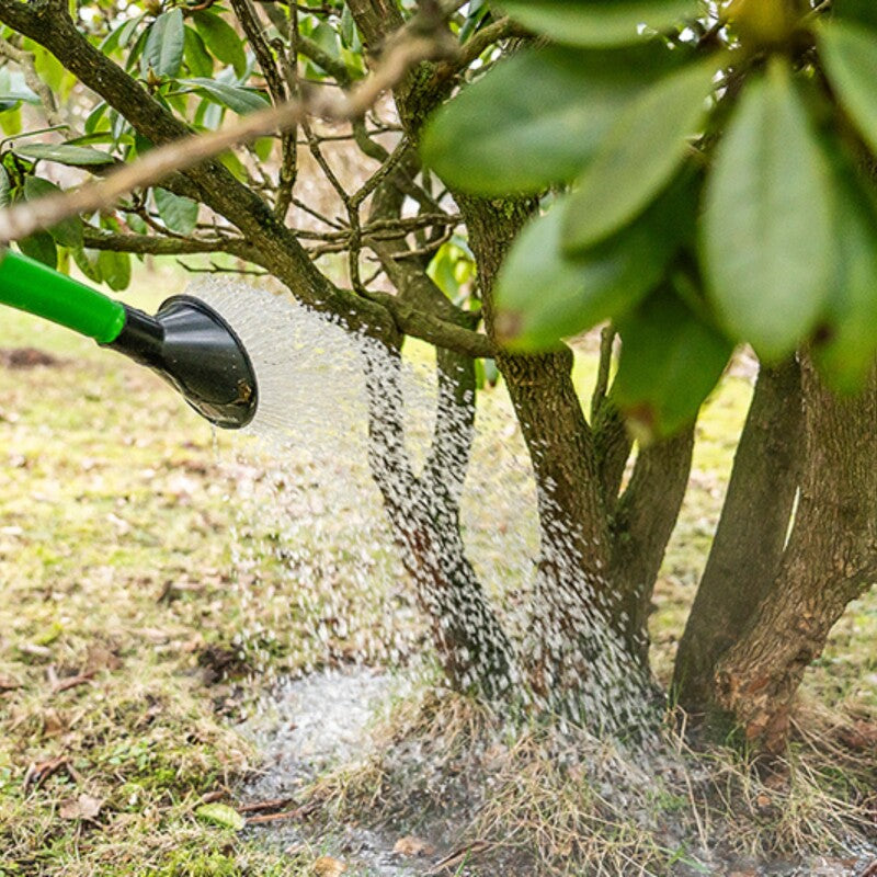  NemaTop HB Nematoden Zur Bekämpfung Des Dickmaulrüsslers