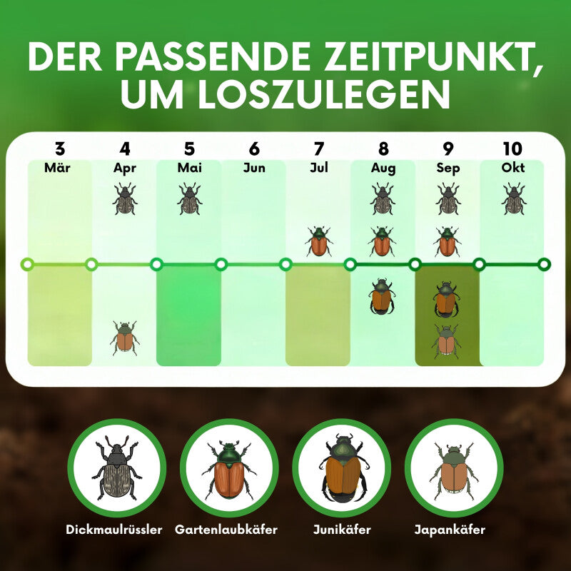  NemaTaurus® HB Nematoden | Gegen Dickmaulrüssler Gartenlaubkäfer Purzelkäfer Junikäfer Dungkäfer