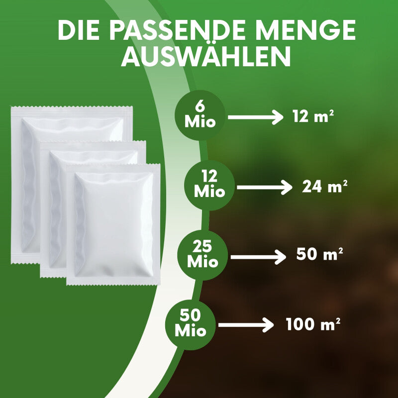  NemaTaurus® HB Nematoden | Gegen Dickmaulrüssler Gartenlaubkäfer Purzelkäfer Junikäfer Dungkäfer