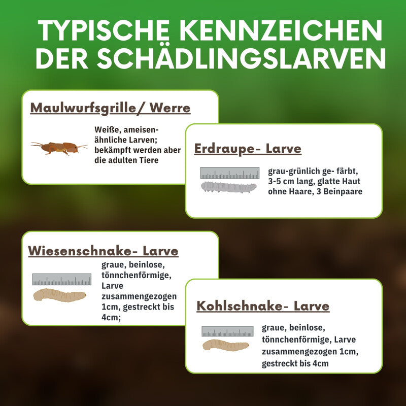 NemaTaurus® SC Nematoden | Gegen Maulwurfsgrillen, Wiesenschnaken, Erdraupen & Kohlschnaken